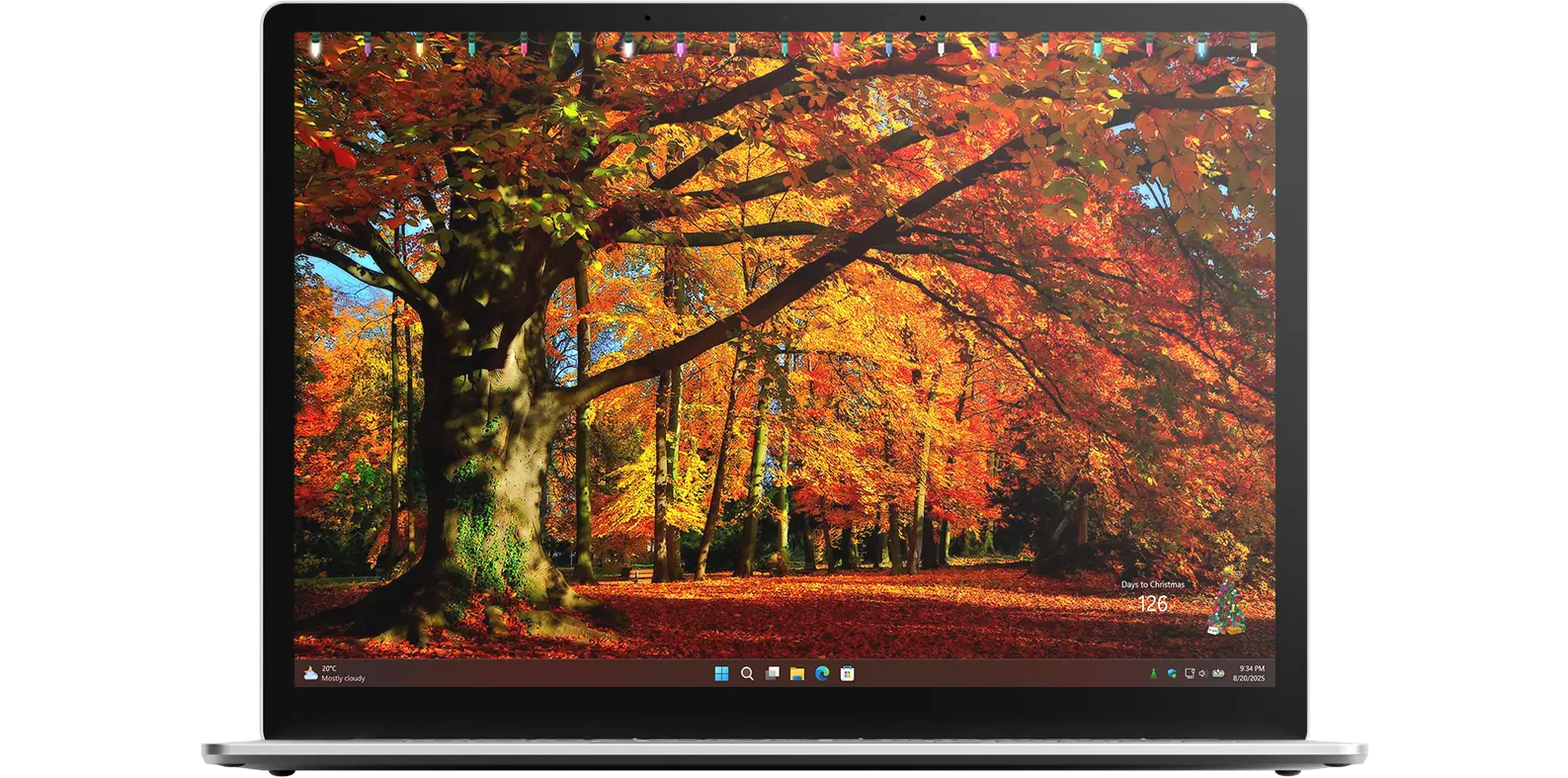 My Christmas Tree app on Windows 11