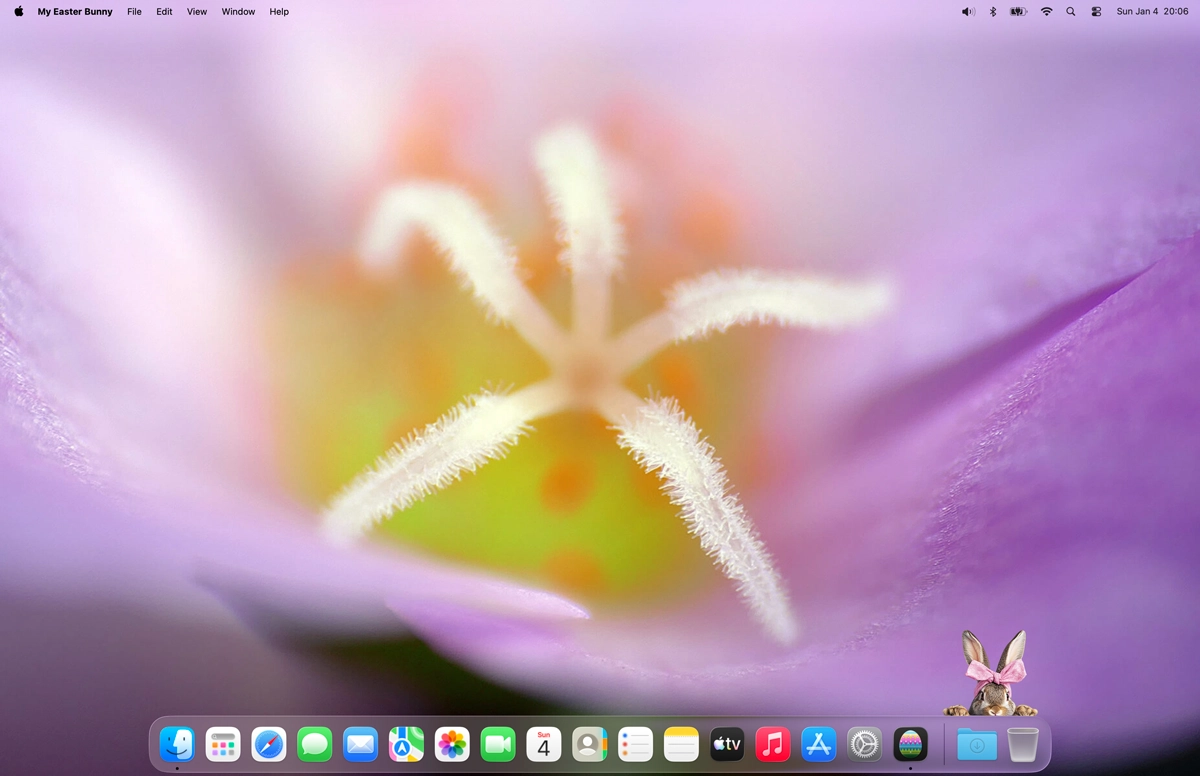 Kumquate tree on your desktop screen